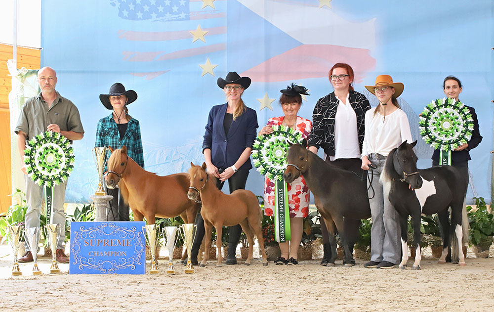 championchip_2026_narodni